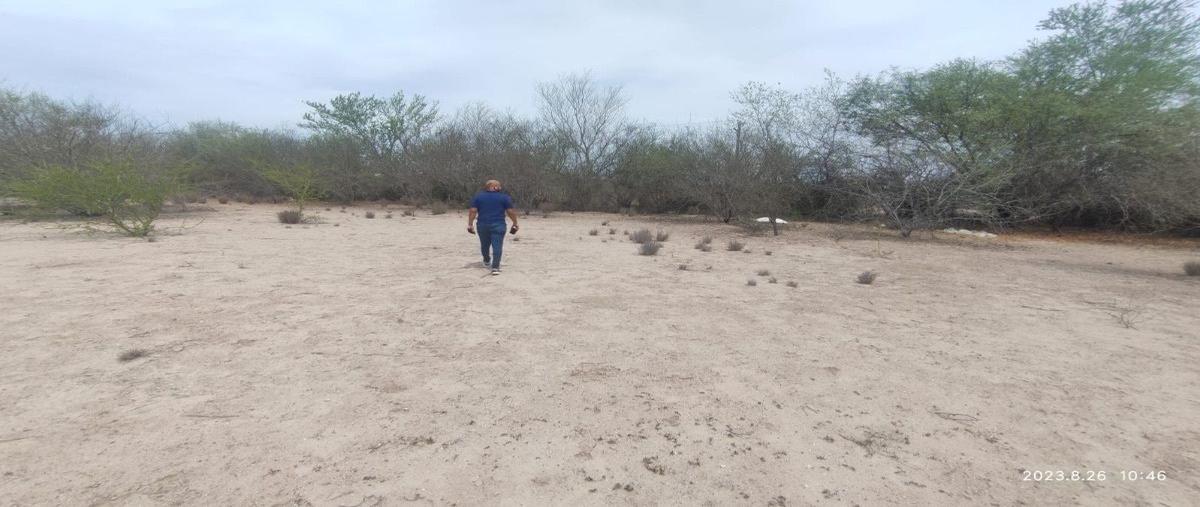 Foto de terreno habitacional en renta en  , el centenario, la paz, baja california sur, 0 No. 04