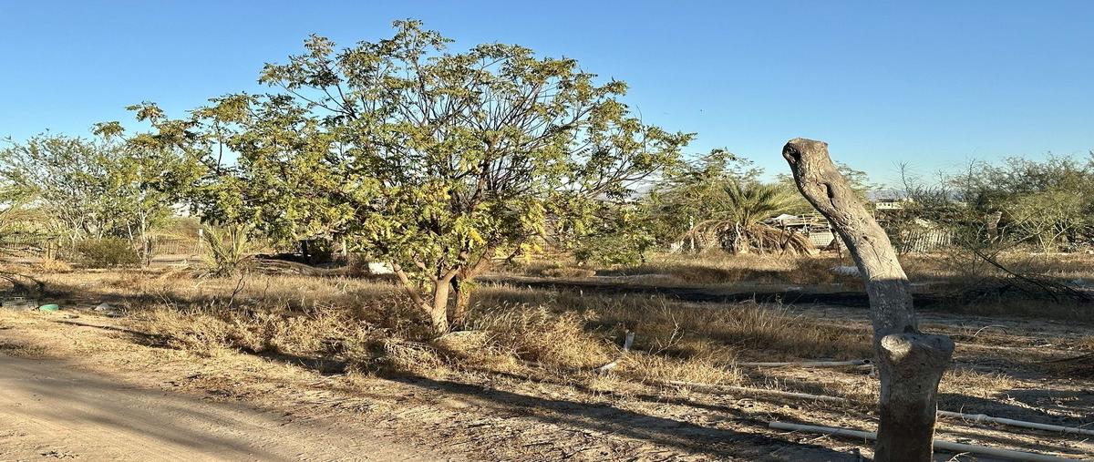 Foto de terreno habitacional en venta en  , el centenario, la paz, baja california sur, 29085578 No. 04