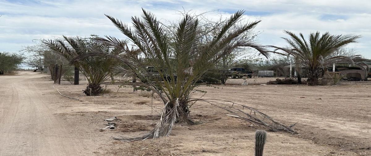 Foto de terreno habitacional en venta en  , el centenario, la paz, baja california sur, 29097689 No. 03