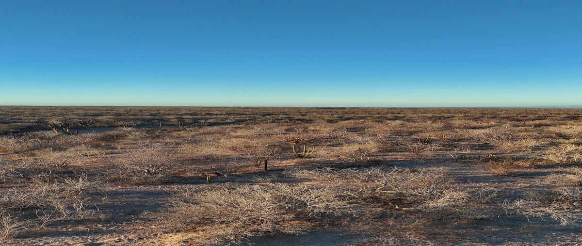 Foto de terreno habitacional en venta en  , el centenario, la paz, baja california sur, 0 No. 03
