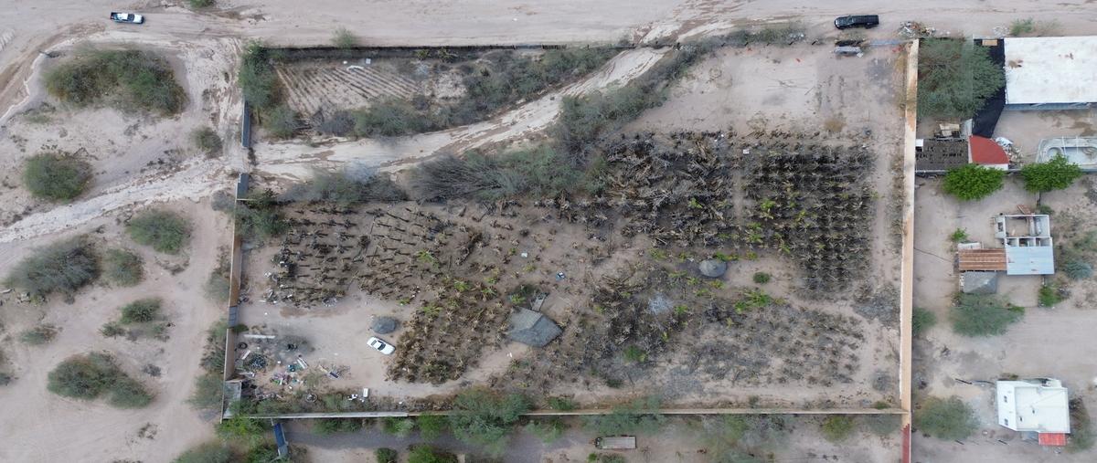 Foto de terreno habitacional en venta en  , el centenario, la paz, baja california sur, 30023095 No. 04