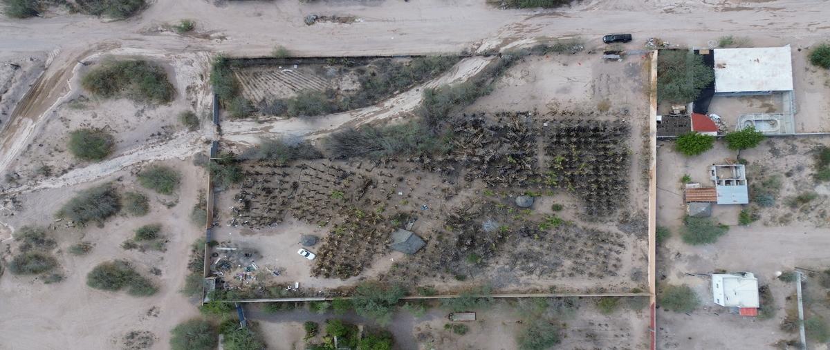 Foto de terreno habitacional en venta en  , el centenario, la paz, baja california sur, 30023095 No. 05