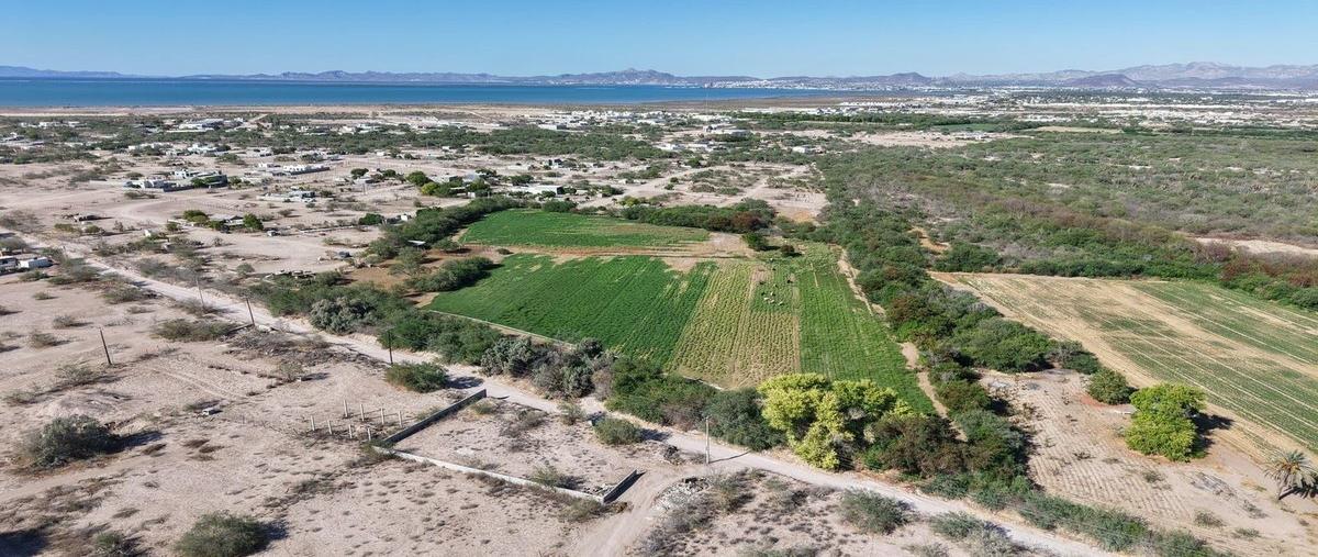 Foto de terreno habitacional en venta en  , el centenario, la paz, baja california sur, 0 No. 01