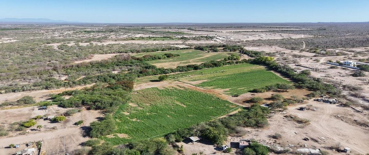 Foto de terreno habitacional en venta en  , el centenario, la paz, baja california sur, 0 No. 02
