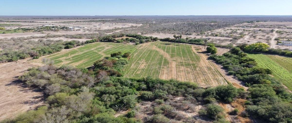 Foto de terreno habitacional en venta en  , el centenario, la paz, baja california sur, 0 No. 04