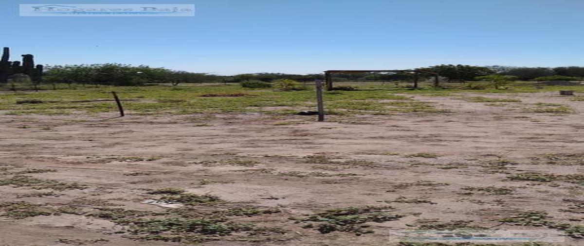 Foto de terreno habitacional en venta en  , el centenario, la paz, baja california sur, 30303958 No. 03