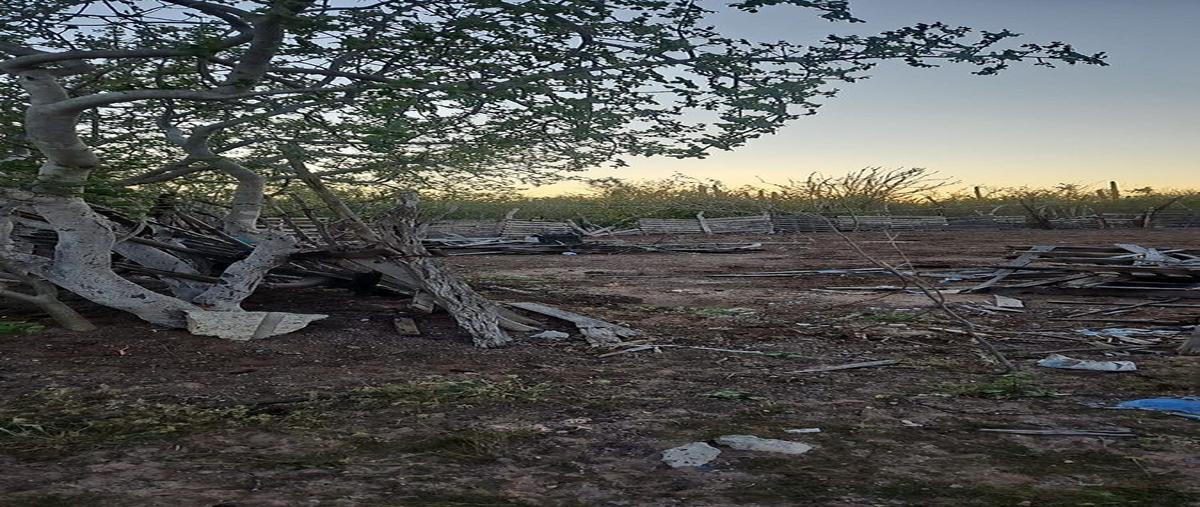 Foto de terreno habitacional en venta en  , el centenario, la paz, baja california sur, 0 No. 03