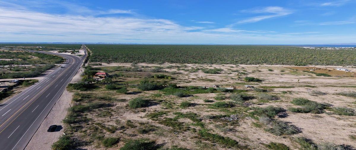 Foto de terreno habitacional en venta en  , el centenario, la paz, baja california sur, 0 No. 05