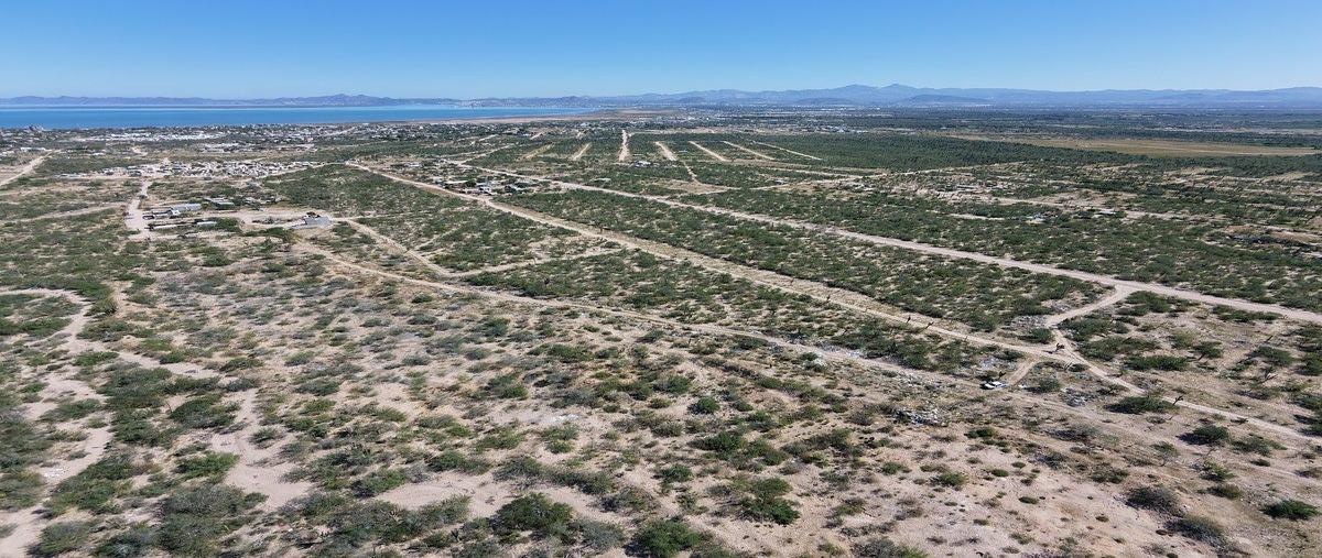 Foto de terreno habitacional en venta en  , el centenario, la paz, baja california sur, 0 No. 05