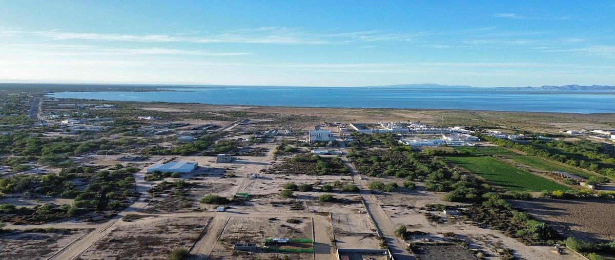 Foto de terreno habitacional en venta en  , el centenario, la paz, baja california sur, 0 No. 04