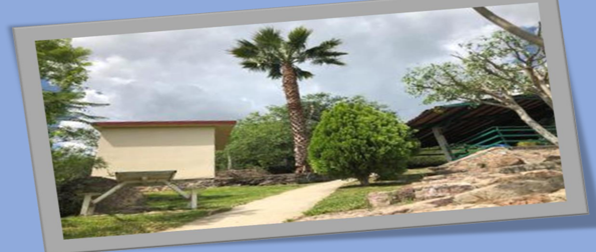 Foto de rancho en venta en  , el centro, san francisco del rincón, guanajuato, 25594856 No. 05