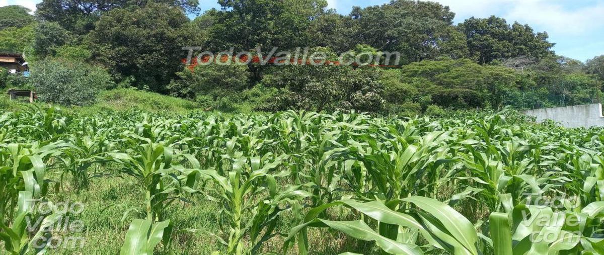 Foto de terreno habitacional en venta en el cerrillo, valle de bravo, estado de méxico, 51200 , rincón villa del valle, valle de bravo, méxico, 0 No. 03
