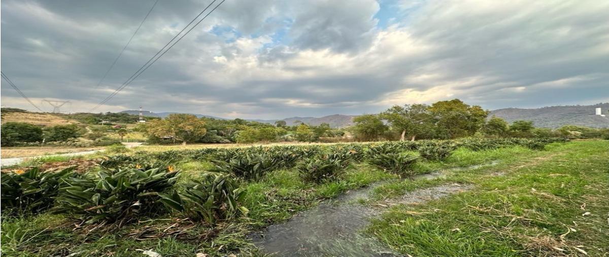 Foto de terreno habitacional en , el cerrillo, valle de bravo, méxico, 0 foto 01 Foto de terreno habitacional en venta en , el cerrillo, valle de bravo, méxico, 0 No. 01