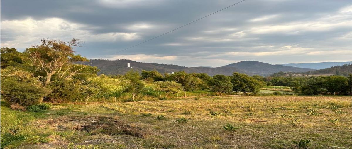 Foto de terreno habitacional en venta en  , el cerrillo, valle de bravo, méxico, 0 No. 03