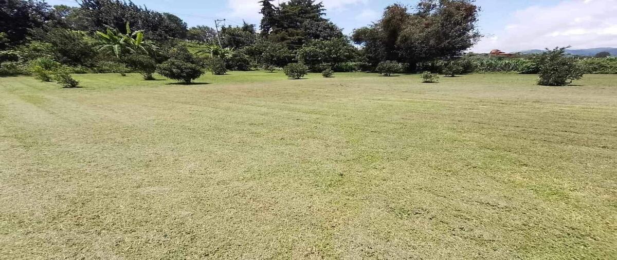 Foto de terreno habitacional en , el cerrillo, valle de bravo, méxico, 0 foto 01 Foto de terreno habitacional en venta en , el cerrillo, valle de bravo, méxico, 0 No. 01