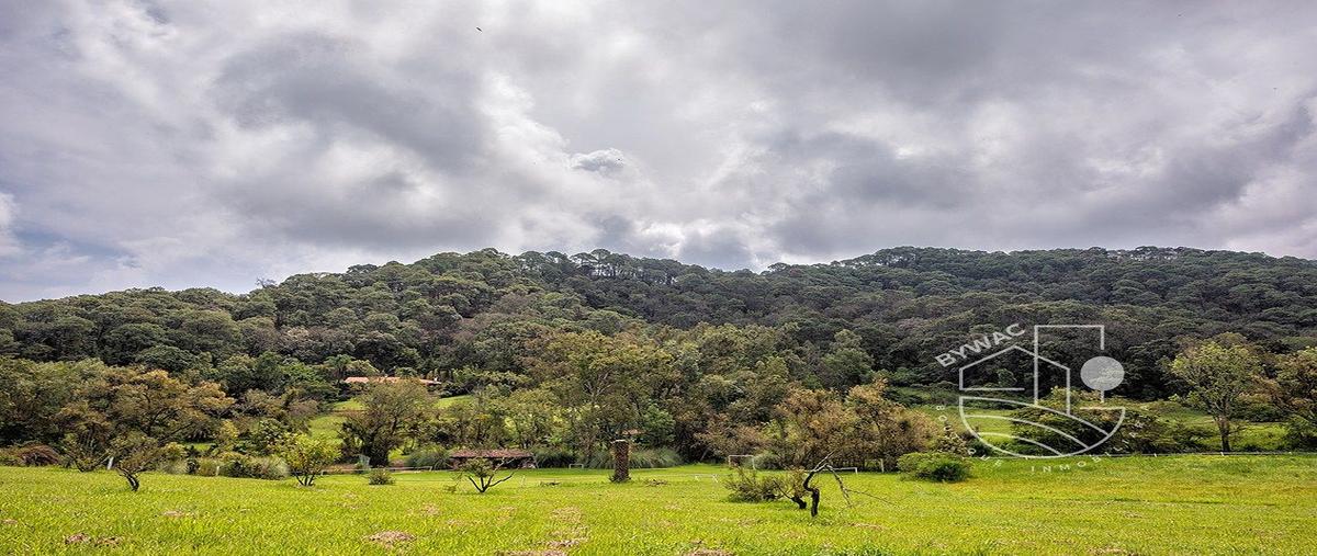 Foto de terreno habitacional en venta en  , el cerrillo, valle de bravo, méxico, 0 No. 03