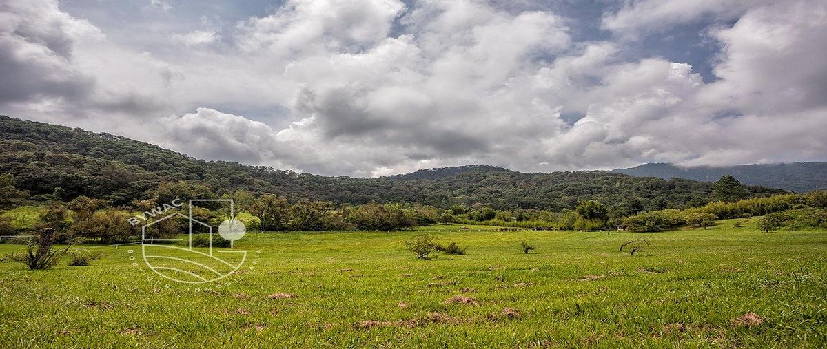 Foto de terreno habitacional en venta en  , el cerrillo, valle de bravo, méxico, 0 No. 04
