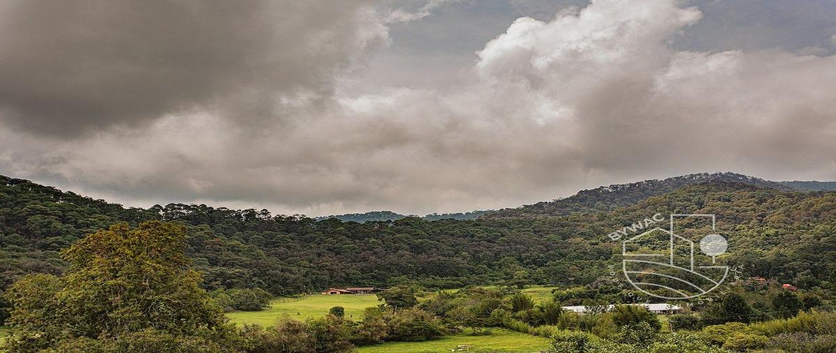 Foto de terreno habitacional en venta en  , el cerrillo, valle de bravo, méxico, 0 No. 05