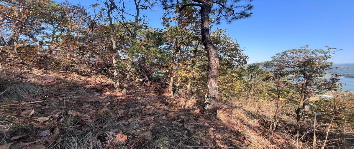 Foto de terreno habitacional en venta en  , el cerrillo, valle de bravo, méxico, 0 No. 04