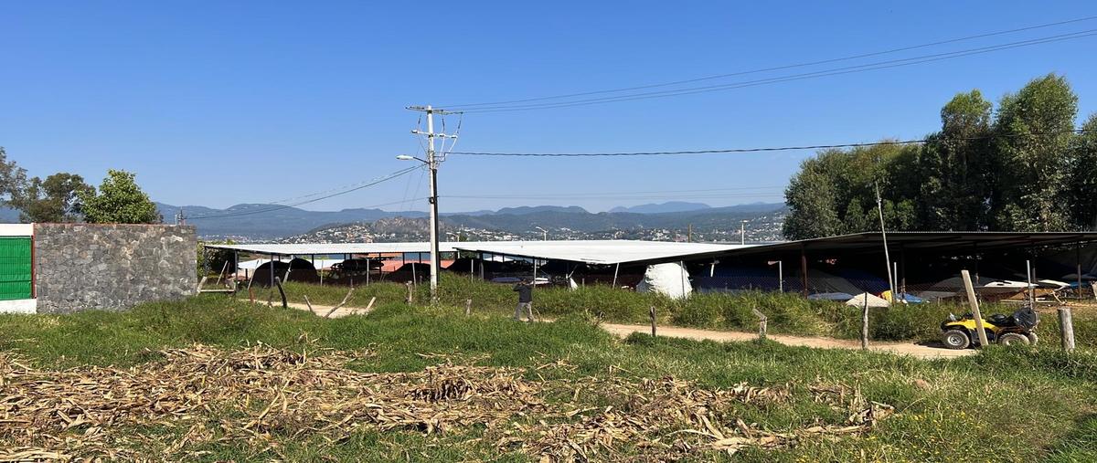 Foto de terreno habitacional en venta en el cerrillo whi292396, el cerrillo, valle de bravo, méxico, 25950936 No. 05