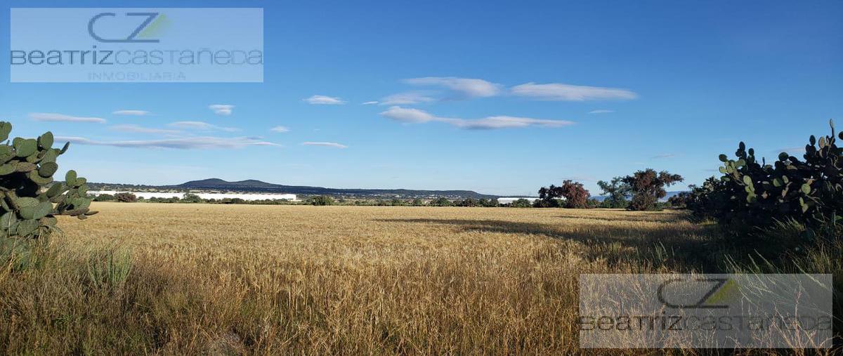 Foto de terreno habitacional en venta en  , el cerrito, zempoala, hidalgo, 9376713 No. 02