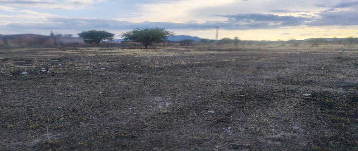 Foto de terreno habitacional en renta en  , el chacho, jesús maría, aguascalientes, 0 No. 05