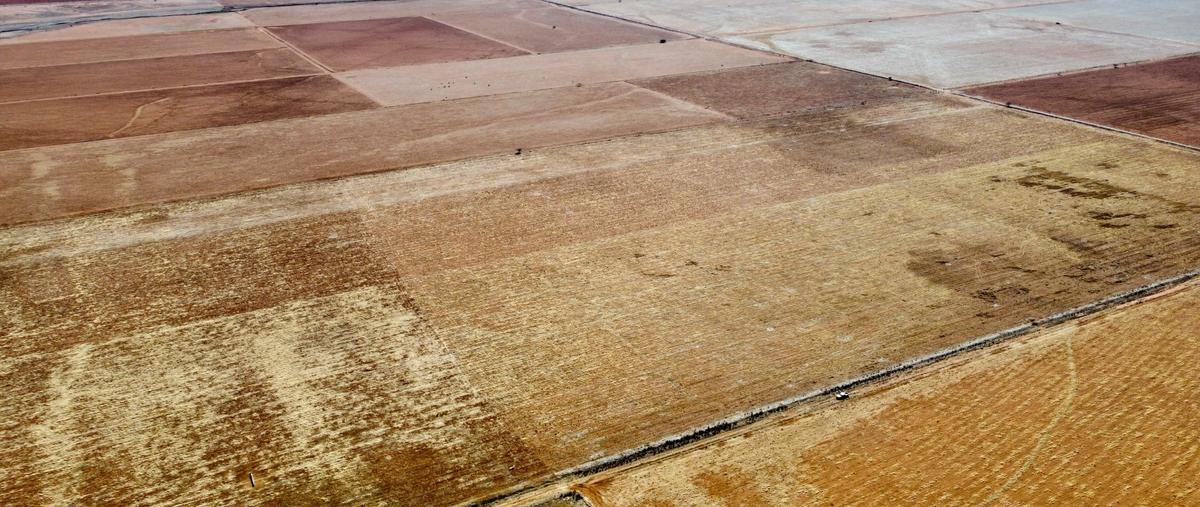 Foto de terreno habitacional en venta en  , el charco, chihuahua, chihuahua, 27540526 No. 05