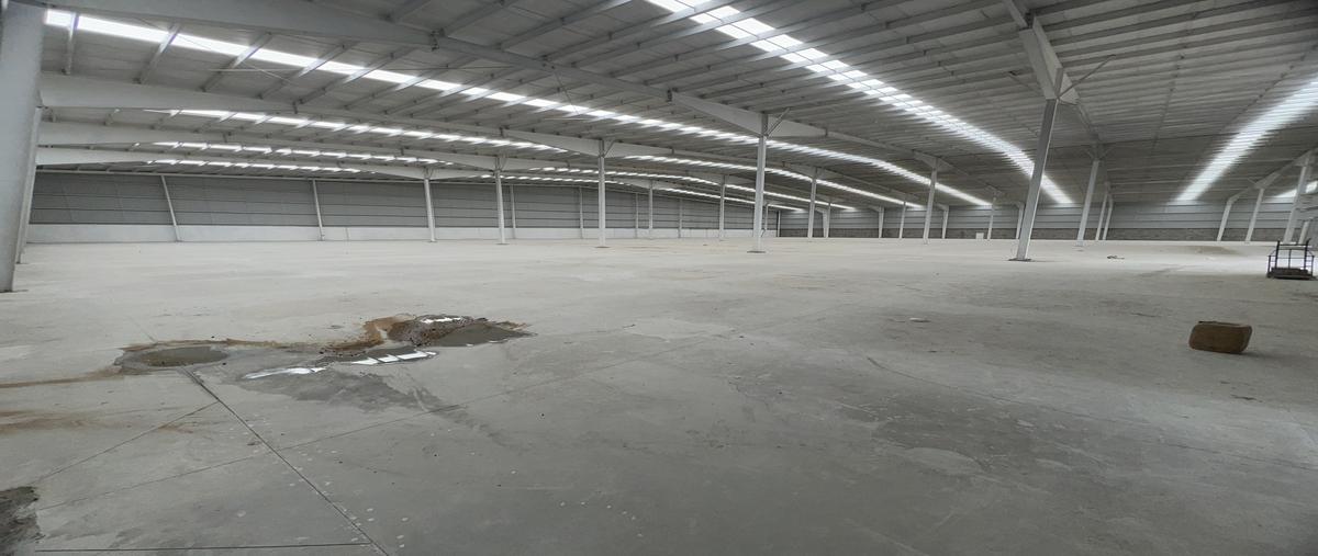 Foto de nave industrial en renta en  , el charco, ecatepec de morelos, méxico, 29752370 No. 05