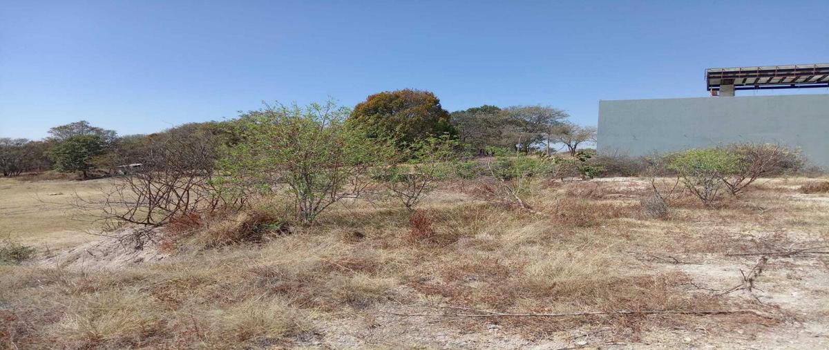 Foto de terreno habitacional en venta en el charro , campestre haras, amozoc, puebla, 0 No. 04