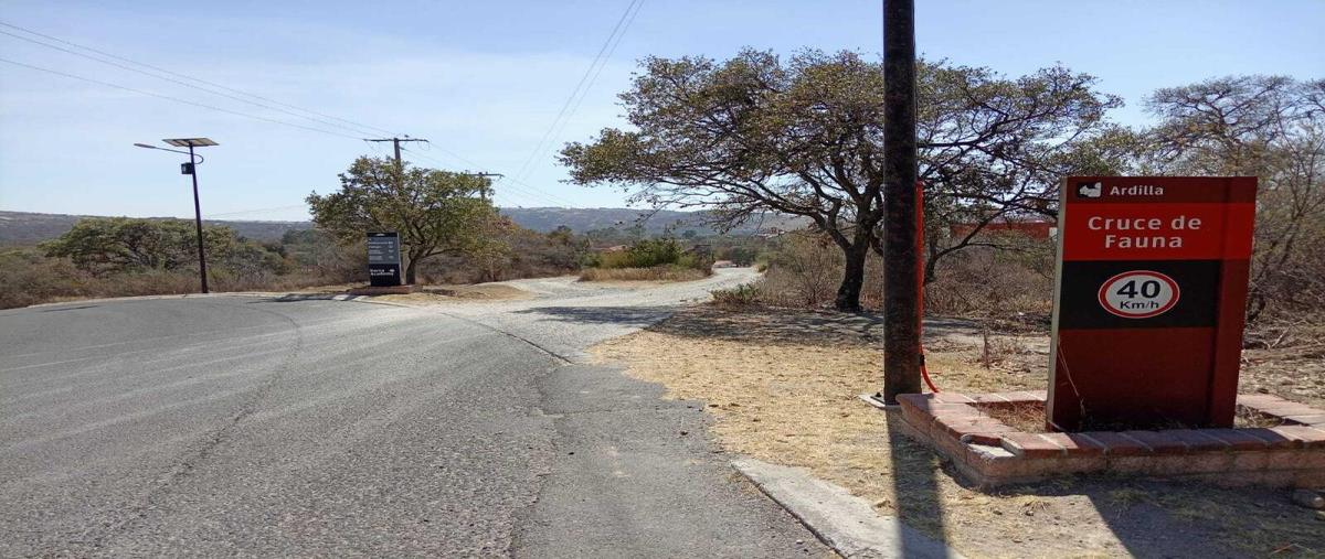 Foto de terreno habitacional en venta en el charro , campestre haras, amozoc, puebla, 0 No. 05