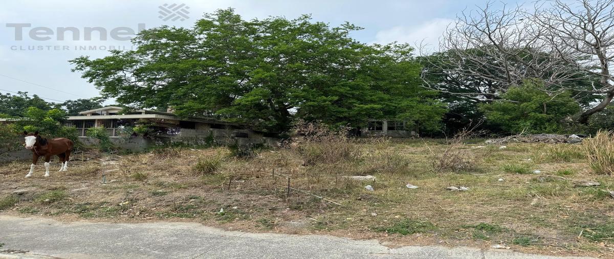 Foto de terreno habitacional en venta en  , el charro, tampico, tamaulipas, 0 No. 03