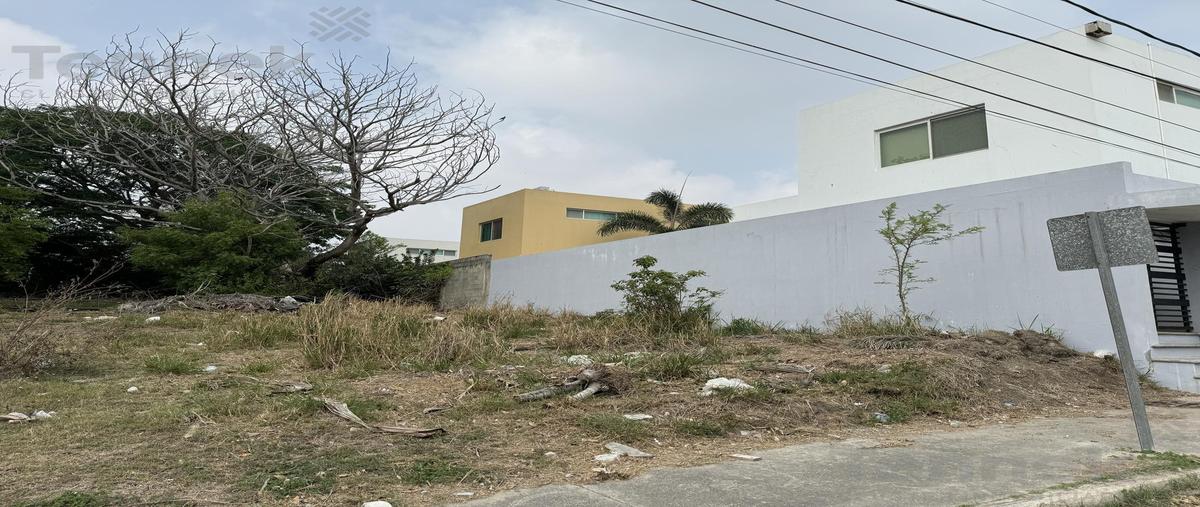 Foto de terreno habitacional en venta en  , el charro, tampico, tamaulipas, 0 No. 04