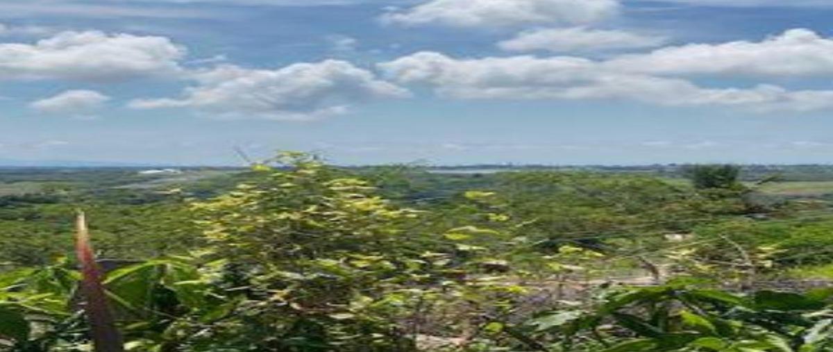 Foto de rancho en venta en  , el chico, emiliano zapata, veracruz de ignacio de la llave, 0 No. 04