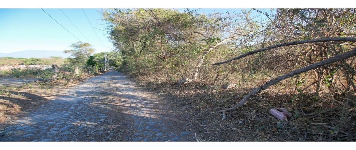 Foto de terreno habitacional en venta en  , el chivato (providencia), villa de álvarez, colima, 0 No. 04