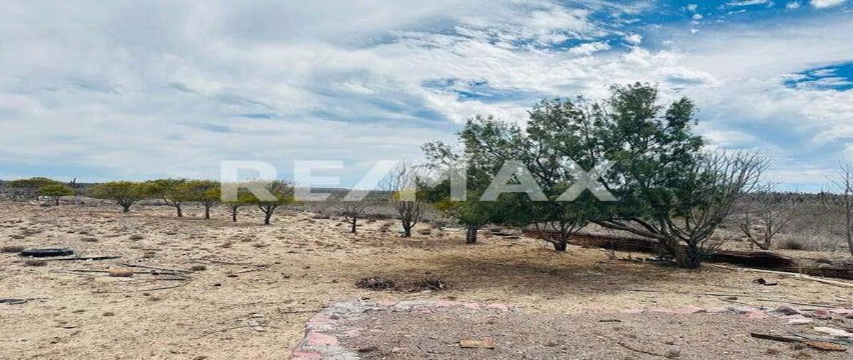 Foto de terreno habitacional en venta en el chopito , la paz (gral. manuel márquez de león), la paz, baja california sur, 0 No. 05