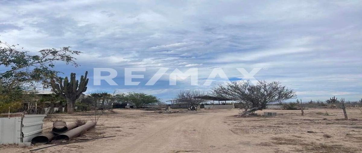 Foto de terreno habitacional en el chopito predio el tepetate , jardines de la paz, la paz, baja california sur, 28822056 foto 03 Foto de terreno habitacional en venta en el chopito predio el tepetate , jardines de la paz, la paz, baja california sur, 28822056 No. 03