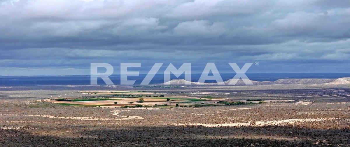 Foto de terreno habitacional en el chopito predio el tepetate , jardines de la paz, la paz, baja california sur, 28822056 foto 05 Foto de terreno habitacional en venta en el chopito predio el tepetate , jardines de la paz, la paz, baja california sur, 28822056 No. 05