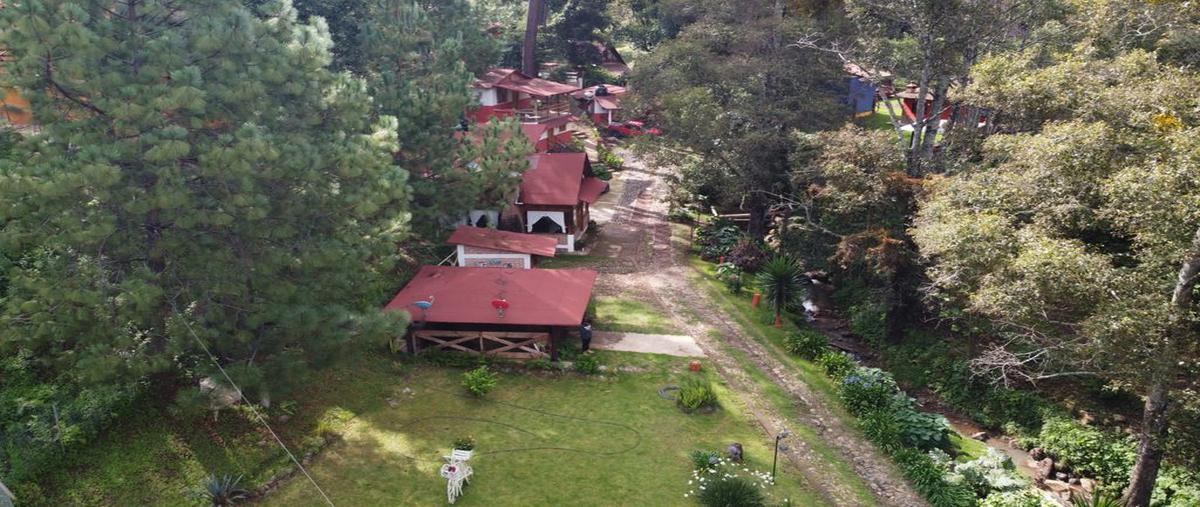 Foto de casa en venta en el chorro , mazamitla, mazamitla, jalisco, 25856420 No. 03