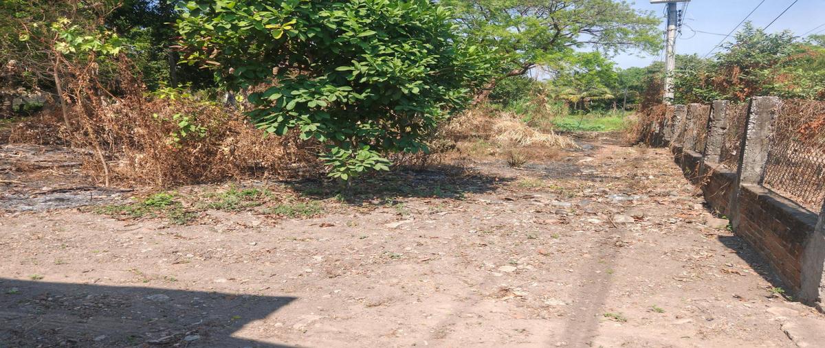 Foto de terreno habitacional en venta en  , el cocuite, tlalixcoyan, veracruz de ignacio de la llave, 0 No. 04
