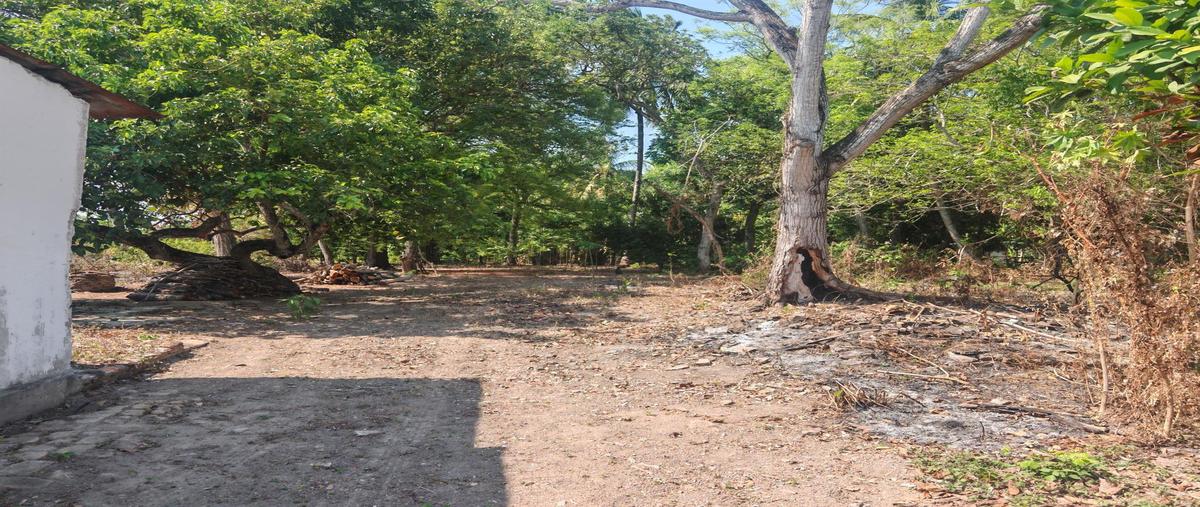 Foto de terreno habitacional en venta en  , el cocuite, tlalixcoyan, veracruz de ignacio de la llave, 0 No. 05