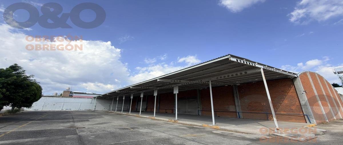 Foto de edificio en renta en  , el coecillo, león, guanajuato, 31076337 No. 03