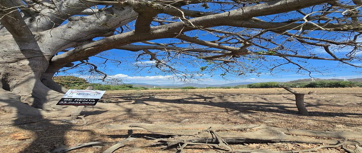 Foto de terreno industrial en renta en el colomo y la arena , el garcero, manzanillo, colima, 30812784 No. 03