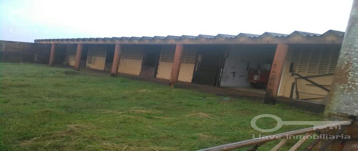 Foto de terreno habitacional en venta en  , el colorado, coatzacoalcos, veracruz de ignacio de la llave, 0 No. 04