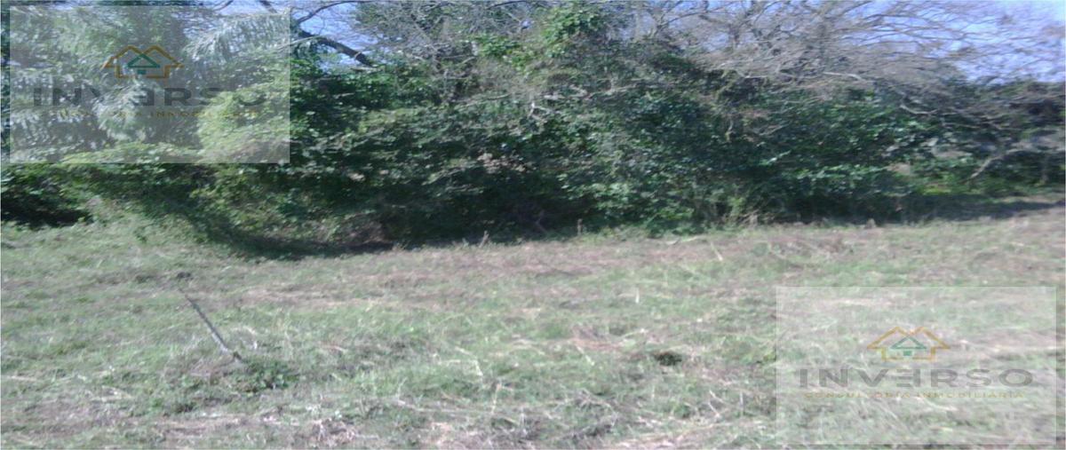 Foto de terreno habitacional en venta en  , el conchal, alvarado, veracruz de ignacio de la llave, 29383763 No. 04