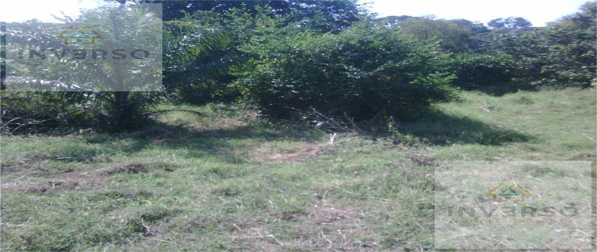 Foto de terreno habitacional en venta en  , el conchal, alvarado, veracruz de ignacio de la llave, 29383763 No. 05