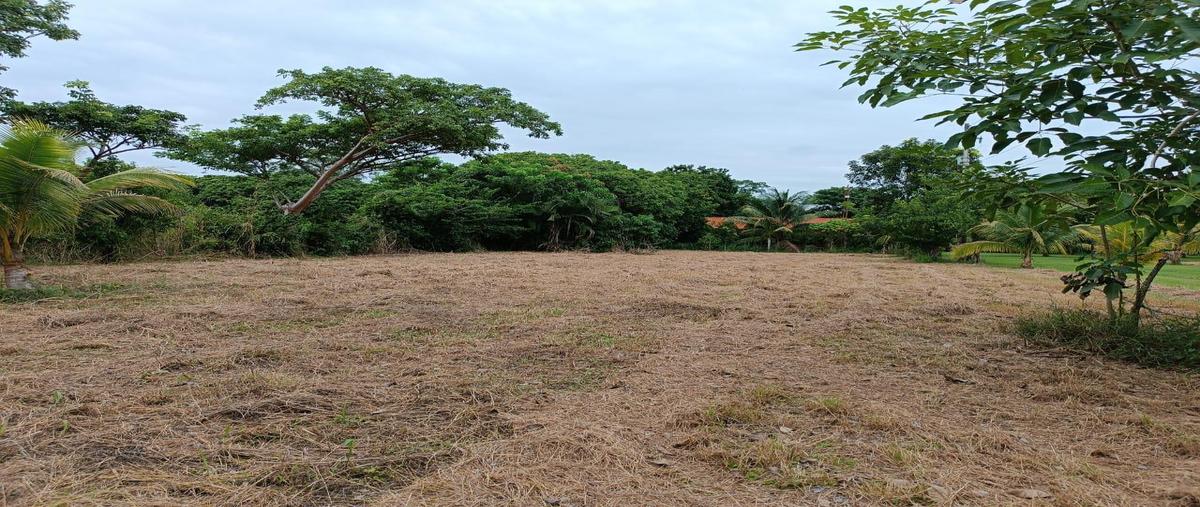 Foto de terreno habitacional en venta en  , el copital, medellín de bravo, veracruz de ignacio de la llave, 0 No. 03