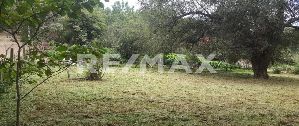 Foto de terreno habitacional en venta en el coporo , mazamitla, mazamitla, jalisco, 0 No. 03