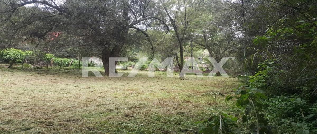Foto de terreno habitacional en venta en el coporo , mazamitla, mazamitla, jalisco, 0 No. 05