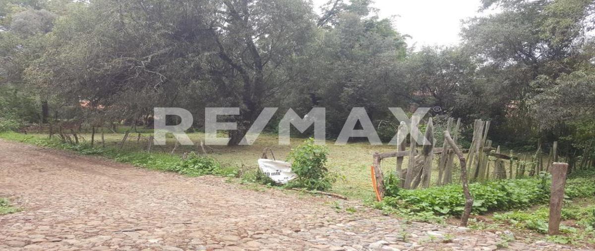 Foto de terreno habitacional en venta en el coporo , mazamitla, mazamitla, jalisco, 0 No. 01