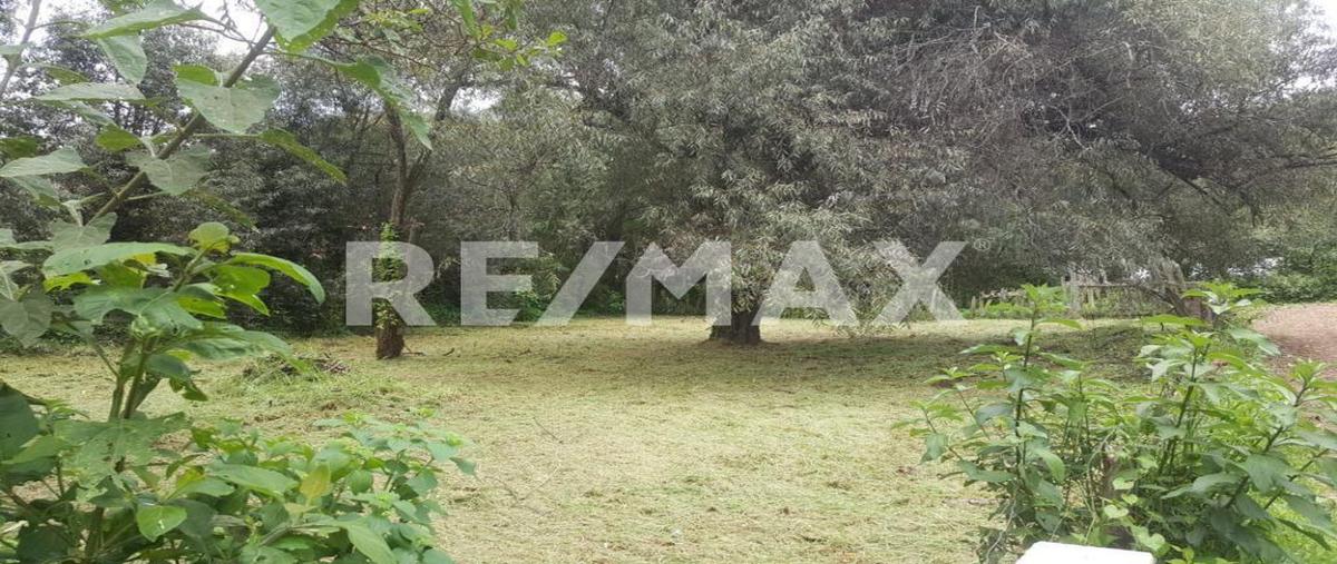 Foto de terreno habitacional en venta en el coporo , mazamitla, mazamitla, jalisco, 0 No. 04